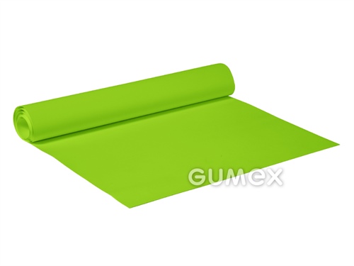 FÓLIE 842 S DESÉNEM D62